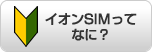 イオンSIMってなに？