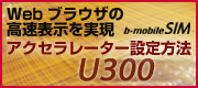 アクセラレーター設定方法