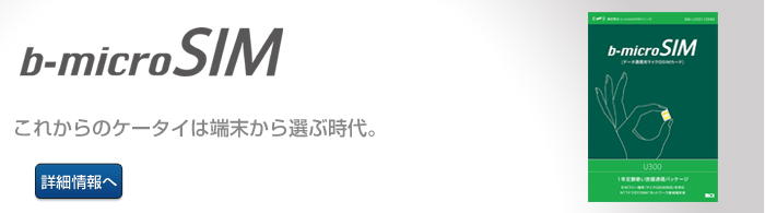 b-microSIM