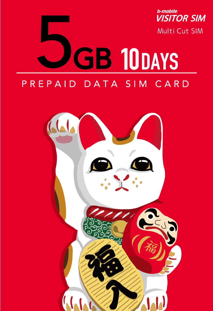 VISITOR SIM 5GB / 10Days Prepaid