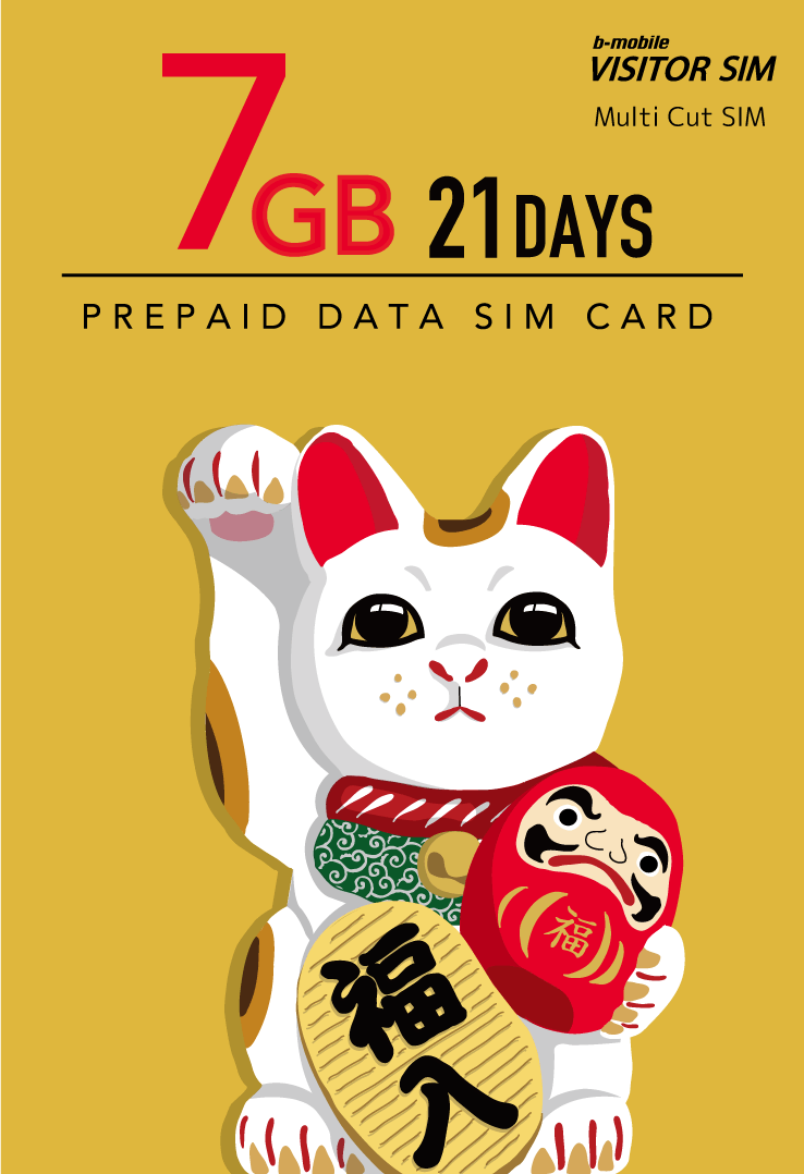 VISITOR SIM 7GB / 21Days Prepaid