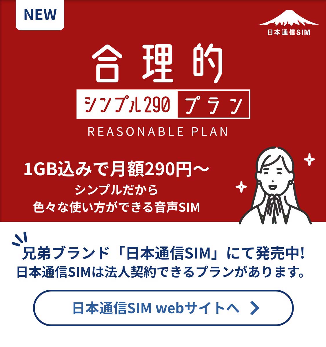 b-mobile（ビーモバイル）日本通信BM-PS2-P[BMPS2P] データ通信専用b-mobile S 190Pad SIM 申込パッケージドコモネットワーク ソフトバンクネットワーク[4560122199670]